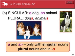 36 
1-4 PLURAL NOUNS + BE 
(b) SINGULAR: a dog, an animal 
PLURAL: dogs, animals 
a and an – only with singular nouns 
plural nouns end in -s 
 
