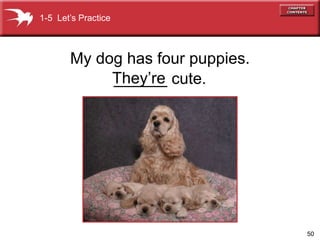 50 
My dog has four puppies. 
______ cute. 
1-5 Let’s Practice 
They’re 
 
