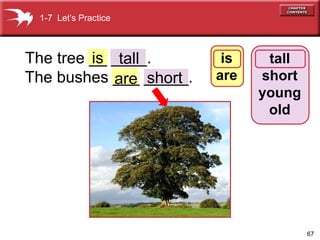 67 
The tree __ ____. 
The bushes _a_re_ _s_h_o_rt_. 
tall 
short 
young 
old 
1-7 Let’s Practice 
is tall is 
are 
 
