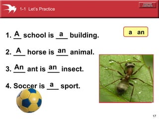 17
1. __ school is ___ building.
2. ___ horse is ___ animal.
3. ___ ant is ___ insect.
4. Soccer is ___ sport.
1-1 Let’s Practice
A a
anA
An an
a
a an
 