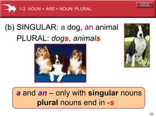 25
PLURAL: dogs, animals
(b) SINGULAR: a dog, an animal
a and an – only with singular nouns
plural nouns end in -s
1-2 NOUN + ARE + NOUN: PLURAL
 
