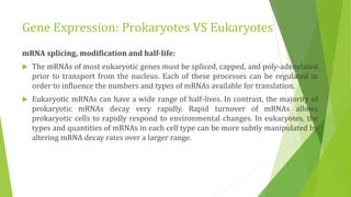 Gene Expression: Prokaryotes VS Eukaryotes
mRNA splicing, modification and half-life:
 The mRNAs of most eukaryotic genes must be spliced, capped, and poly-adenylated
prior to transport from the nucleus. Each of these processes can be regulated in
order to influence the numbers and types of mRNAs available for translation.
 Eukaryotic mRNAs can have a wide range of half-lives. In contrast, the majority of
prokaryotic mRNAs decay very rapidly. Rapid turnover of mRNAs allows
prokaryotic cells to rapidly respond to environmental changes. In eukaryotes, the
types and quantities of mRNAs in each cell type can be more subtly manipulated by
altering mRNA decay rates over a larger range.
 