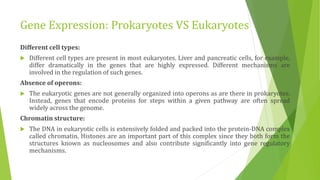 Gene Expression: Prokaryotes VS Eukaryotes
Different cell types:
 Different cell types are present in most eukaryotes. Liver and pancreatic cells, for example,
differ dramatically in the genes that are highly expressed. Different mechanisms are
involved in the regulation of such genes.
Absence of operons:
 The eukaryotic genes are not generally organized into operons as are there in prokaryotes.
Instead, genes that encode proteins for steps within a given pathway are often spread
widely across the genome.
Chromatin structure:
 The DNA in eukaryotic cells is extensively folded and packed into the protein-DNA complex
called chromatin. Histones are an important part of this complex since they both form the
structures known as nucleosomes and also contribute significantly into gene regulatory
mechanisms.
 