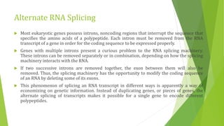 Alternate RNA Splicing
 Most eukaryotic genes possess introns, noncoding regions that interrupt the sequence that
specifies the amino acids of a polypeptide. Each intron must be removed from the RNA
transcript of a gene in order for the coding sequence to be expressed properly.
 Genes with multiple introns present a curious problem to the RNA splicing machinery.
These introns can be removed separately or in combination, depending on how the splicing
machinery interacts with the RNA.
 If two successive introns are removed together, the exon between them will also be
removed. Thus, the splicing machinery has the opportunity to modify the coding sequence
of an RNA by deleting some of its exons.
 This phenomenon of splicing an RNA transcript in different ways is apparently a way of
economizing on genetic information. Instead of duplicating genes, or pieces of genes, the
alternate splicing of transcripts makes it possible for a single gene to encode different
polypeptides.
 