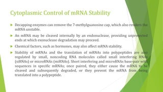 Cytoplasmic Control of mRNA Stability
 Decapping enzymes can remove the 7-methylguanosine cap, which also renders the
mRNA unstable.
 An mRNA may be cleaved internally by an endonuclease, providing unprotected
ends at which exonuclease degradation may proceed.
 Chemical factors, such as hormones, may also affect mRNA stability.
 Stability of mRNAs and the translation of mRNAs into polypeptides are also
regulated by small, noncoding RNA molecules called small interfering RNAs
(siRNAs) or microRNAs (miRNAs). Short interfering and microRNAs base-pair with
sequences in specific mRNAs; once paired, they either cause the mRNA to be
cleaved and subsequently degraded, or they prevent the mRNA from being
translated into a polypeptide.
 