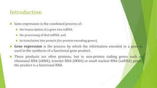 Introduction
 Gene expression is the combined process of :
 the transcription of a gene into mRNA,
 the processing of that mRNA, and
 its translation into protein (for protein-encoding genes).
 Gene expression is the process by which the information encoded in a gene is
used in the synthesis of a functional gene product.
 These products are often proteins, but in non-protein coding genes such as
ribosomal RNA (rRNA), transfer RNA (tRNA) or small nuclear RNA (snRNA) genes,
the product is a functional RNA.
 