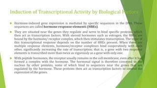 Induction of Transcriptional Activity by Biological Factors
 Hormone-induced gene expression is mediated by specific sequences in the DNA. These
sequences are called hormone response elements (HREs).
 They are situated near the genes they regulate and serve to bind specific proteins, which
then act as transcription factors. With steroid hormones such as estrogen, the HREs are
bound by the hormone/ receptor complex, which then stimulates transcription. The vigor of
this transcriptional response depends on the number of HREs present. When there are
multiple response elements, hormone/receptor complexes bind cooperatively with each
other, significantly increasing the rate of transcription; that is, a gene with two response
elements is transcribed more than twice as vigorously as a gene with only one.
 With peptide hormones, the receptor usually remains in the cell membrane, even after it has
formed a complex with the hormone. The hormonal signal is therefore conveyed to the
nucleus by other proteins, some of which bind to sequences near the genes that are
regulated by the hormone. These proteins then act as transcription factors to control the
expression of the genes.
 