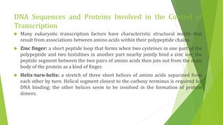 DNA Sequences and Proteins Involved in the Control of
Transcription
 Many eukaryotic transcription factors have characteristic structural motifs that
result from associations between amino acids within their polypeptide chains.
 Zinc finger: a short peptide loop that forms when two cysteines in one part of the
polypeptide and two histidines in another part nearby jointly bind a zinc ion; the
peptide segment between the two pairs of amino acids then juts out from the main
body of the protein as a kind of finger.
 Helix-turn-helix: a stretch of three short helices of amino acids separated from
each other by turn. Helical segment closest to the carboxy terminus is required for
DNA binding; the other helices seem to be involved in the formation of protein
dimers.
 