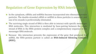 Regulation of Gene Expression by RNA Interference
 In the cytoplasm, siRNAs and miRNAs become incorporated into ribonucleoprotein
particles. The double-stranded siRNA or miRNA in these particles is unwound, and
one of its strands is preferentially eliminated.
 The surviving single strand of RNA is then able to interact with specific messenger
RNA molecules. This interaction is mediated by base-pairing between the single
strand of RNA in the RNA–protein complex and a complementary sequence in the
messenger RNA molecule.
 Because this interaction prevents the expression of the gene that produced the
mRNA, the RNA–protein particle is called an RNA-Induced Silencing Complex
(RISC).
 