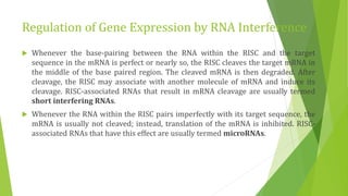 Regulation of Gene Expression by RNA Interference
 Whenever the base-pairing between the RNA within the RISC and the target
sequence in the mRNA is perfect or nearly so, the RISC cleaves the target mRNA in
the middle of the base paired region. The cleaved mRNA is then degraded. After
cleavage, the RISC may associate with another molecule of mRNA and induce its
cleavage. RISC-associated RNAs that result in mRNA cleavage are usually termed
short interfering RNAs.
 Whenever the RNA within the RISC pairs imperfectly with its target sequence, the
mRNA is usually not cleaved; instead, translation of the mRNA is inhibited. RISC-
associated RNAs that have this effect are usually termed microRNAs.
 