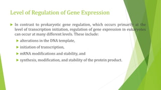 Level of Regulation of Gene Expression
 In contrast to prokaryotic gene regulation, which occurs primarily at the
level of transcription initiation, regulation of gene expression in eukaryotes
can occur at many different levels. These include:
 alterations in the DNA template,
 initiation of transcription,
 mRNA modifications and stability, and
 synthesis, modification, and stability of the protein product.
 