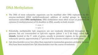 DNA Methylation
 The DNA of most eukaryotic organisms can be modified after DNA replication by the
enzyme-mediated (DNA methyltransferase) addition of methyl groups to bases, a
mechanism called DNA methylation. DNA methylation most often occurs at position 5 of
cytosine (5-methylcytosine) of CG doublets in DNA, usually on both strands:
5´- mCpG - 3´
3´- GpCm - 5´
 Potentially, methylatable CpG sequences are not randomly distributed throughout the
genome, but are concentrated in CpG-rich regions (about 1 to 2 kb long), called CpG
islands, located at the 5´ ends of genes, usually in promoter regions. In the genome of
eukaryotic species, approximately 2-7 percent of the cytosine residues are methylated.
 CpG dinucleotides occur less often than expected in mammalian genomes, probably because
they have been mutated into TpG dinucleotides over the course of evolution.
 