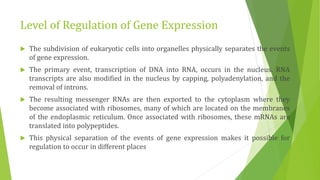 Level of Regulation of Gene Expression
 The subdivision of eukaryotic cells into organelles physically separates the events
of gene expression.
 The primary event, transcription of DNA into RNA, occurs in the nucleus. RNA
transcripts are also modified in the nucleus by capping, polyadenylation, and the
removal of introns.
 The resulting messenger RNAs are then exported to the cytoplasm where they
become associated with ribosomes, many of which are located on the membranes
of the endoplasmic reticulum. Once associated with ribosomes, these mRNAs are
translated into polypeptides.
 This physical separation of the events of gene expression makes it possible for
regulation to occur in different places
 