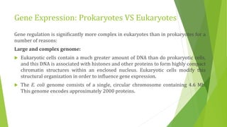 Gene Expression: Prokaryotes VS Eukaryotes
Gene regulation is significantly more complex in eukaryotes than in prokaryotes for a
number of reasons:
Large and complex genome:
 Eukaryotic cells contain a much greater amount of DNA than do prokaryotic cells,
and this DNA is associated with histones and other proteins to form highly compact
chromatin structures within an enclosed nucleus. Eukaryotic cells modify this
structural organization in order to influence gene expression.
 The E. coli genome consists of a single, circular chromosome containing 4.6 Mb.
This genome encodes approximately 2000 proteins.
 
