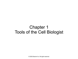 © 2020 Elsevier Inc. All rights reserved.
Chapter 1
Tools of the Cell Biologist
 