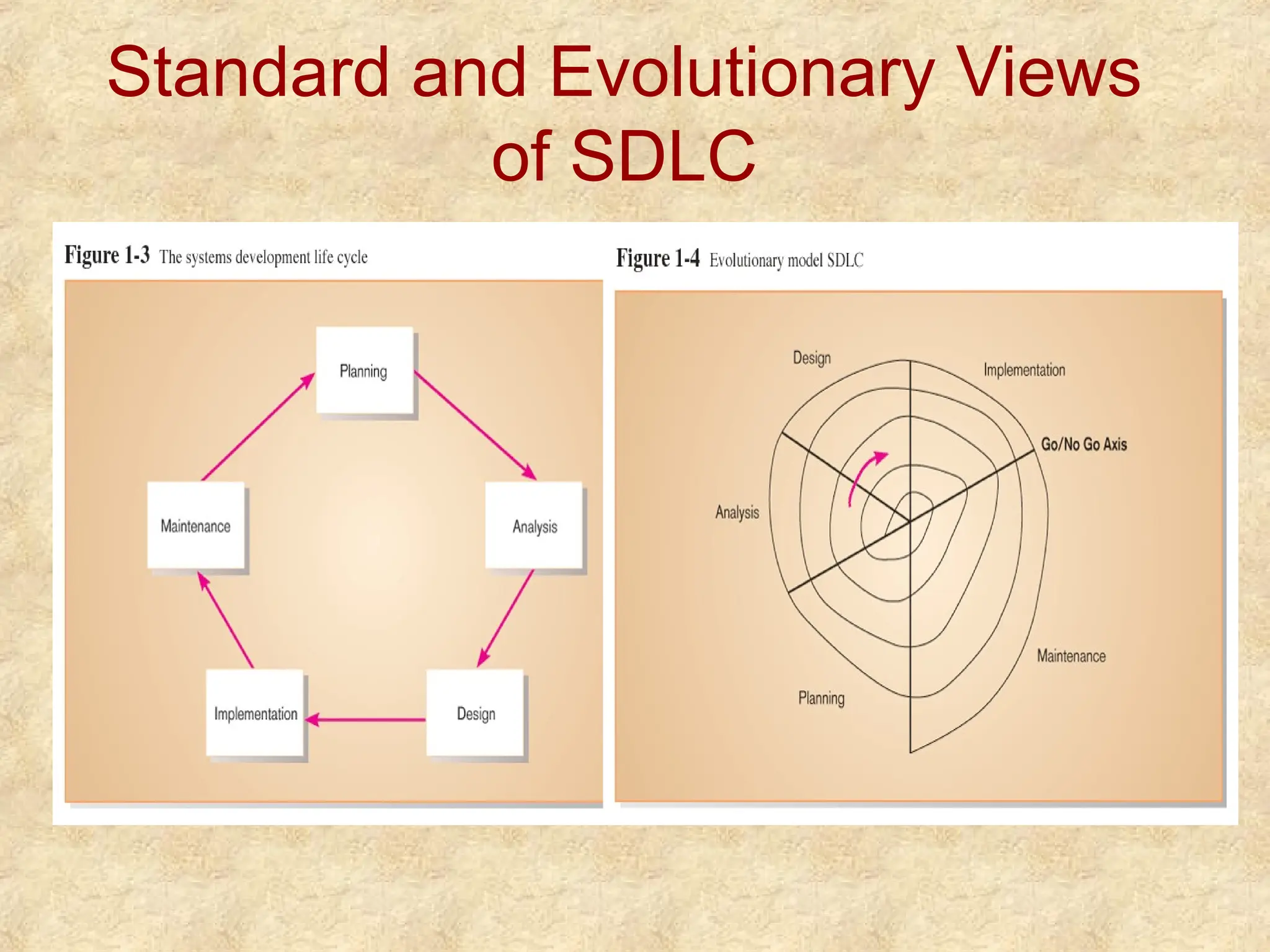 Standard and Evolutionary Views
of SDLC
 