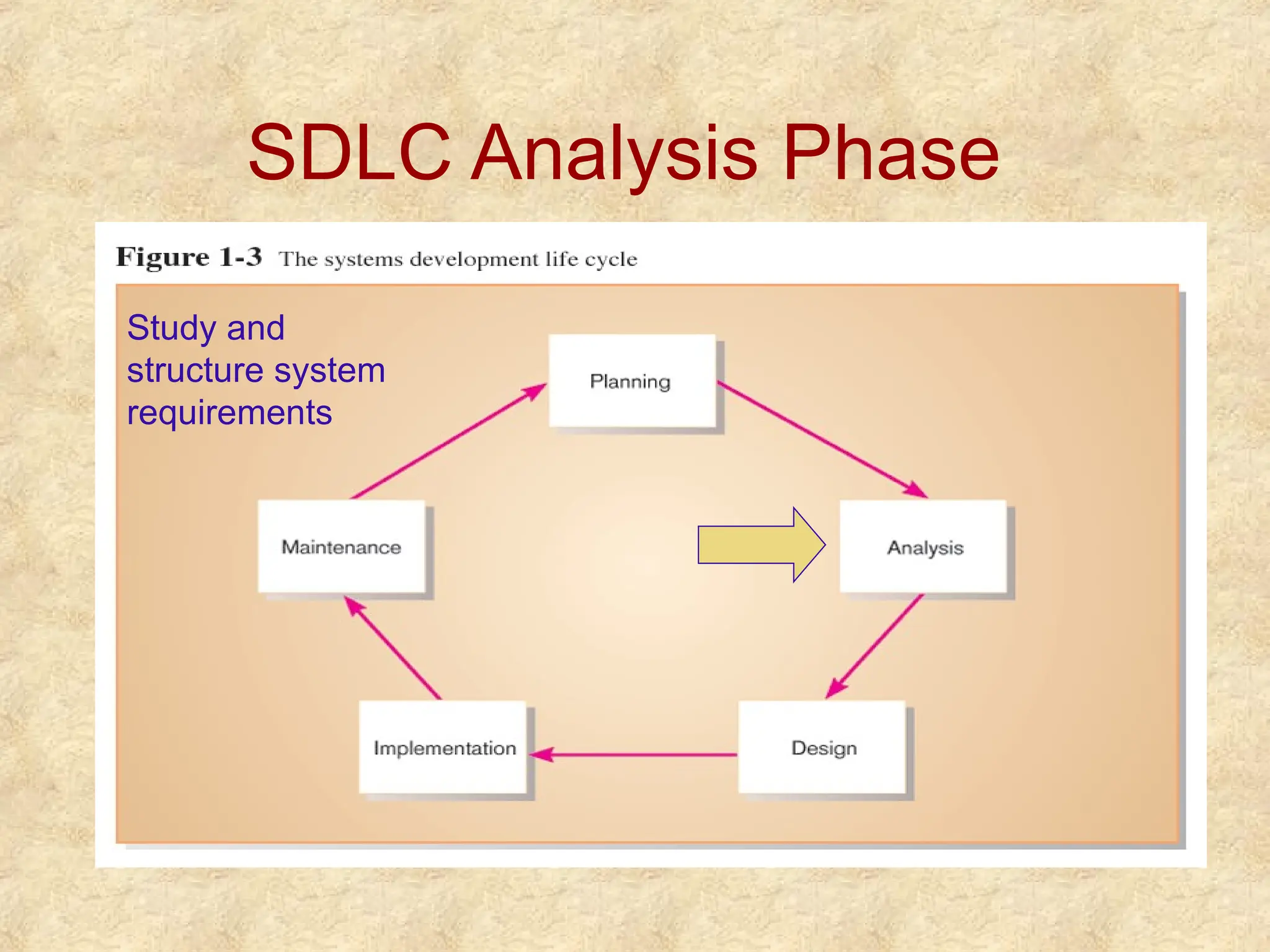 SDLC Analysis Phase
Study and
structure system
requirements
 