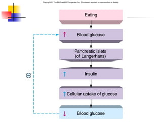 Copyright © The McGraw-Hill Companies, Inc. Permission required for reproduction or display.
 