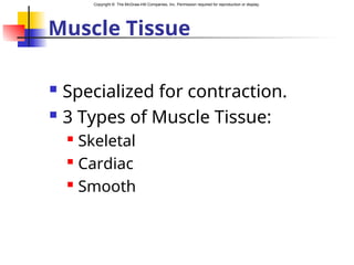 Copyright © The McGraw-Hill Companies, Inc. Permission required for reproduction or display.
Muscle Tissue
 Specialized for contraction.
 3 Types of Muscle Tissue:
 Skeletal
 Cardiac
 Smooth
 