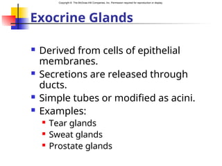 Copyright © The McGraw-Hill Companies, Inc. Permission required for reproduction or display.
Exocrine Glands
 Derived from cells of epithelial
membranes.
 Secretions are released through
ducts.
 Simple tubes or modified as acini.
 Examples:
 Tear glands
 Sweat glands
 Prostate glands
 