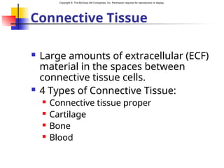 Copyright © The McGraw-Hill Companies, Inc. Permission required for reproduction or display.
Connective Tissue
 Large amounts of extracellular (ECF)
material in the spaces between
connective tissue cells.
 4 Types of Connective Tissue:
 Connective tissue proper
 Cartilage
 Bone
 Blood
 