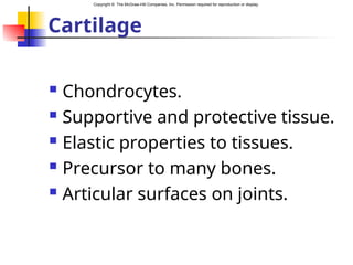 Copyright © The McGraw-Hill Companies, Inc. Permission required for reproduction or display.
Cartilage
 Chondrocytes.
 Supportive and protective tissue.
 Elastic properties to tissues.
 Precursor to many bones.
 Articular surfaces on joints.
 
