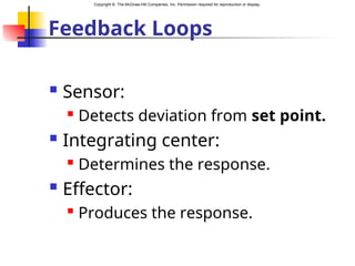 Copyright © The McGraw-Hill Companies, Inc. Permission required for reproduction or display.
Feedback Loops
 Sensor:
 Detects deviation from set point.
 Integrating center:
 Determines the response.
 Effector:
 Produces the response.
 