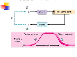 Copyright © The McGraw-Hill Companies, Inc. Permission required for reproduction or display.
 