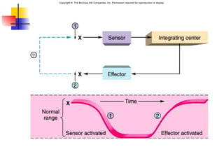 Copyright © The McGraw-Hill Companies, Inc. Permission required for reproduction or display.
 