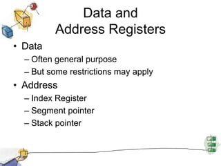 Data and Address RegistersDataOften general purposeBut some restrictions may applyAddressIndex RegisterSegment pointerStack pointer