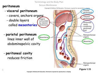 AnaPhy: Chapter 01 The Human Organism .ppt