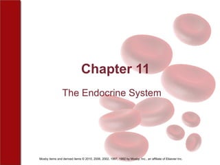 Chapter 11 The Endocrine System 