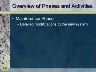 Overview of Phases and Activities Maintenance Phase Detailed modifications to the new system 