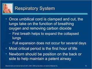Respiratory System

• Once umbilical cord is clamped and cut, the
  lungs take on the function of breathing
  oxygen and removing carbon dioxide
      – First breath helps to expand the collapsed
        lungs
      – Full expansion does not occur for several days
• Most critical period is the first hour of life
• Newborn should be position on the back or
  side to help maintain a patent airway
Elsevier items and derived items © 2011, 2007, 2006 by Saunders, an imprint of Elsevier Inc.   18
 