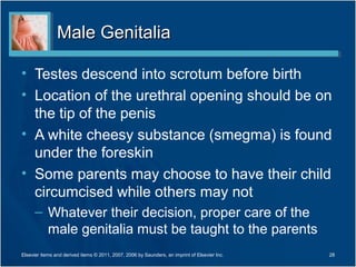 Male Genitalia

• Testes descend into scrotum before birth
• Location of the urethral opening should be on
  the tip of the penis
• A white cheesy substance (smegma) is found
  under the foreskin
• Some parents may choose to have their child
  circumcised while others may not
      – Whatever their decision, proper care of the
        male genitalia must be taught to the parents
Elsevier items and derived items © 2011, 2007, 2006 by Saunders, an imprint of Elsevier Inc.   28
 