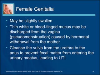 Female Genitalia

• May be slightly swollen
• Thin white or blood-tinged mucus may be
  discharged from the vagina
  (pseudomenstruation) caused by hormonal
  withdrawal from the mother
• Cleanse the vulva from the urethra to the
  anus to prevent fecal matter from entering the
  urinary meatus, leading to UTI


Elsevier items and derived items © 2011, 2007, 2006 by Saunders, an imprint of Elsevier Inc.   29
 