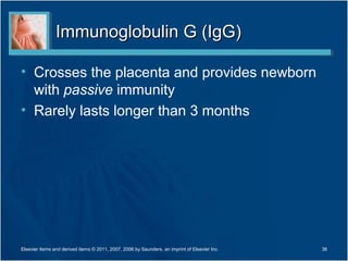 Immunoglobulin G (IgG)

• Crosses the placenta and provides newborn
  with passive immunity
• Rarely lasts longer than 3 months




Elsevier items and derived items © 2011, 2007, 2006 by Saunders, an imprint of Elsevier Inc.   36
 