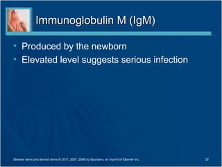 Immunoglobulin M (IgM)

• Produced by the newborn
• Elevated level suggests serious infection




Elsevier items and derived items © 2011, 2007, 2006 by Saunders, an imprint of Elsevier Inc.   37
 