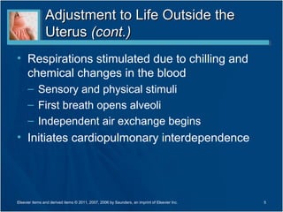 Adjustment to Life Outside the
                Uterus (cont.)
• Respirations stimulated due to chilling and
  chemical changes in the blood
      – Sensory and physical stimuli
      – First breath opens alveoli
      – Independent air exchange begins
• Initiates cardiopulmonary interdependence




Elsevier items and derived items © 2011, 2007, 2006 by Saunders, an imprint of Elsevier Inc.   5
 