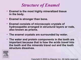 Copyright © 2005 by Elsevier Inc. All rights reserved.
Structure of Enamel
• Enamel is the most highly mineralized tissue
in the body.
• Enamel is stronger than bone.
• Enamel consists of microscopic crystals of
hydroxapatite arranged in structural layers or rods,
also known as prisms.
• The enamel crystals are surrounded by water.
• The water and protein components in the tooth are
important because that is how the acids travel into
the tooth and the minerals travel out and the tooth
structure dissolves.
 