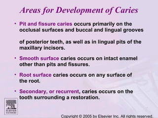 Copyright © 2005 by Elsevier Inc. All rights reserved.
Areas for Development of Caries
• Pit and fissure caries occurs primarily on the
occlusal surfaces and buccal and lingual grooves
of posterior teeth, as well as in lingual pits of the
maxillary incisors.
• Smooth surface caries occurs on intact enamel
other than pits and fissures.
• Root surface caries occurs on any surface of
the root.
• Secondary, or recurrent, caries occurs on the
tooth surrounding a restoration.
 