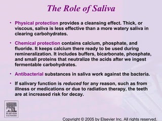 Copyright © 2005 by Elsevier Inc. All rights reserved.
The Role of Saliva
• Physical protection provides a cleansing effect. Thick, or
viscous, saliva is less effective than a more watery saliva in
clearing carbohydrates.
• Chemical protection contains calcium, phosphate, and
fluoride. It keeps calcium there ready to be used during
remineralization. It includes buffers, bicarbonate, phosphate,
and small proteins that neutralize the acids after we ingest
fermentable carbohydrates.
• Antibacterial substances in saliva work against the bacteria.
• If salivary function is reduced for any reason, such as from
illness or medications or due to radiation therapy, the teeth
are at increased risk for decay.
 