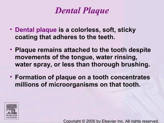 Copyright © 2005 by Elsevier Inc. All rights reserved.
Dental Plaque
• Dental plaque is a colorless, soft, sticky
coating that adheres to the teeth.
• Plaque remains attached to the tooth despite
movements of the tongue, water rinsing,
water spray, or less than thorough brushing.
• Formation of plaque on a tooth concentrates
millions of microorganisms on that tooth.
 