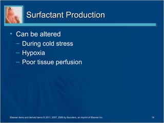 Surfactant Production

• Can be altered
      – During cold stress
      – Hypoxia
      – Poor tissue perfusion




Elsevier items and derived items © 2011, 2007, 2006 by Saunders, an imprint of Elsevier Inc.   14
 