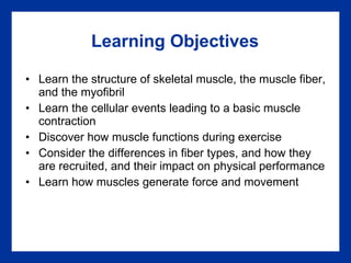 Learning Objectives Learn the structure of skeletal muscle, the muscle fiber, and the myofibril Learn the cellular events leading to a basic muscle contraction Discover how muscle functions during exercise Consider the differences in fiber types, and how they are recruited, and their impact on physical performance Learn how muscles generate force and movement 