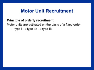 Motor Unit Recruitment Principle of orderly recruitment Motor units are activated on the basis of a fixed order type I  ->  type IIa  ->  type IIx 