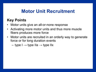 Motor Unit Recruitment Key Points Motor units give an all-or-none response Activating more motor units and thus more muscle fibers produces more force Motor units are recruited in an orderly way to generate force or for long duration events type I  ->  type IIa  ->  type IIx 