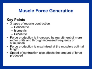 Muscle Force Generation Key Points 3 types of muscle contraction Concentric Isometric Eccentric Force production is increased by recruitment of more motor units and through increased frequency of stimulation Force production is maximized at the muscle’s optimal length Speed of contraction also affects the amount of force produced 