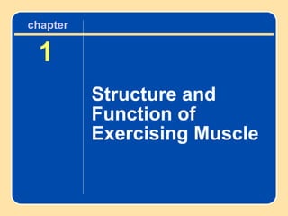 1 Structure and Function of Exercising Muscle chapter 