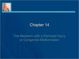 Chapter 14

The Newborn with a Perinatal Injury
    or Congenital Malformation
 